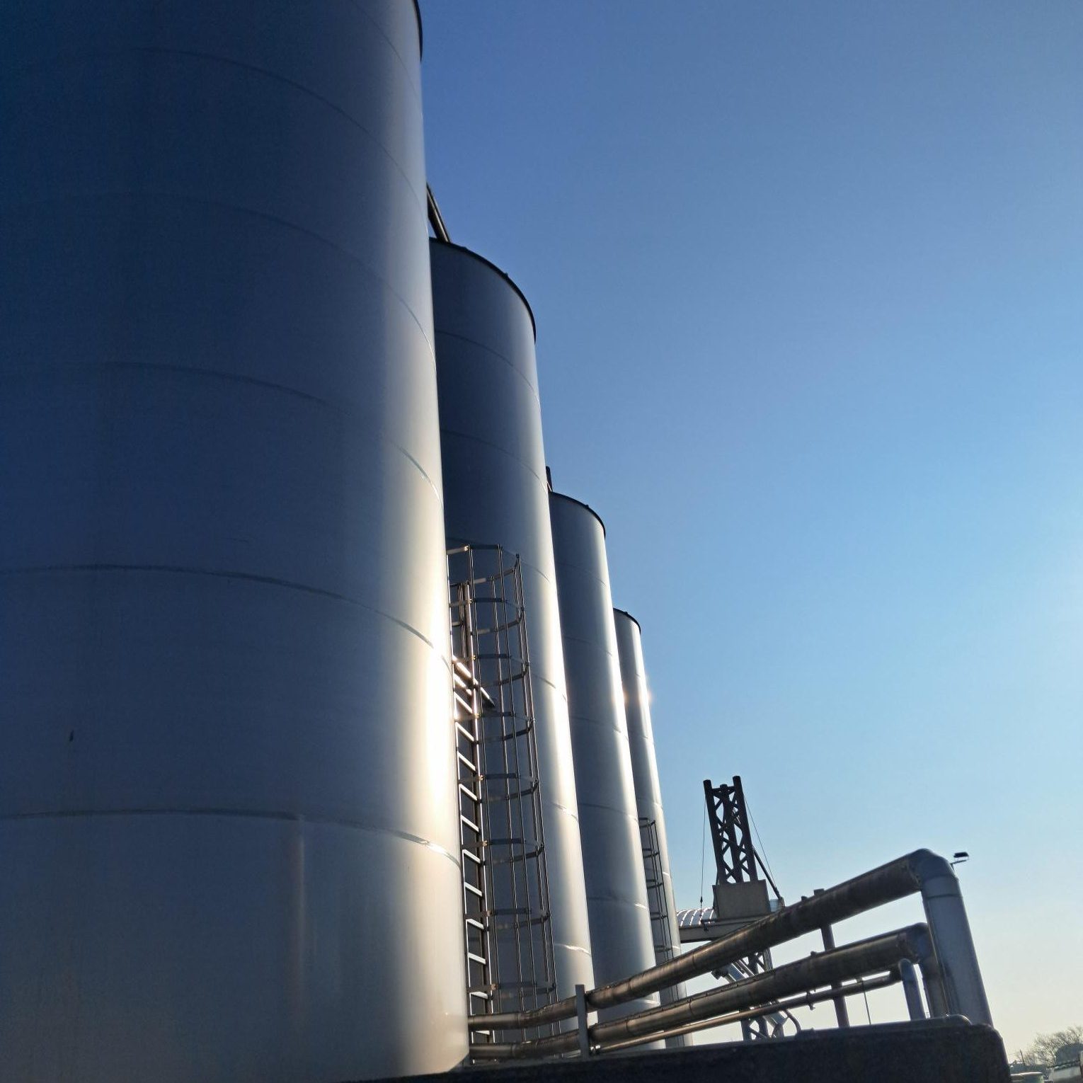 Distribuzione Alcoli Italia - distillati di qualità